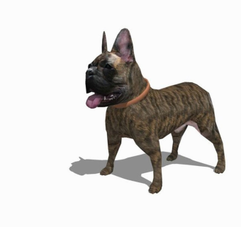 精品动物模型-狗 (2)